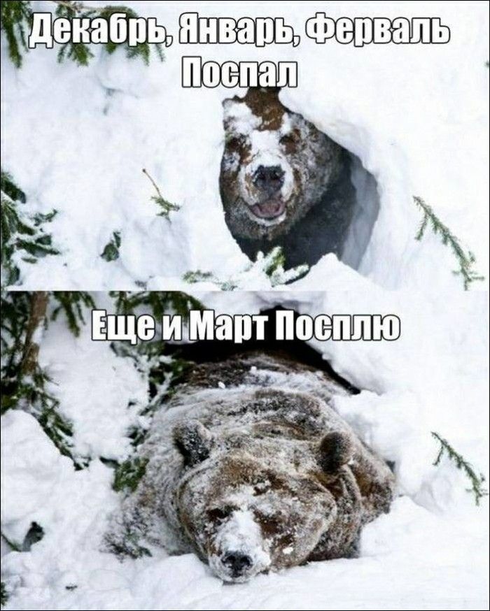Декабрь, Январь, Февраль поспал Еще и Март посплюю