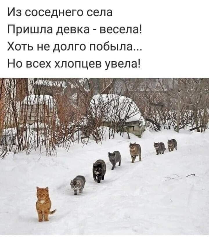 Из соседнего села
Пришла девка - весела!
Хоть не долго побывала...
Но всех хлопцев увела!