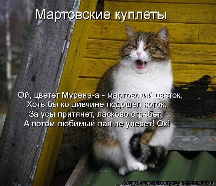 Мартовские куплеты
Ой, цветет мурена - а - мартовский цветок, Хоть бы ко всем вд сумел подошел коготь, За усЫ притянет, ласково свербят, А потом любимый лап не унесет! Ох!