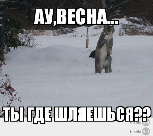 АЙ, ВЕСНА... ТЫ ГДЕ ШЛЯЕШЬСЯ??