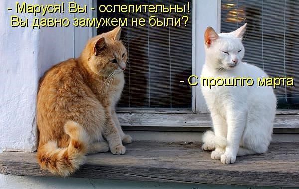 - Маруся! Вы — ослепительны! Вы давно замужем не были? - С прошлого марта