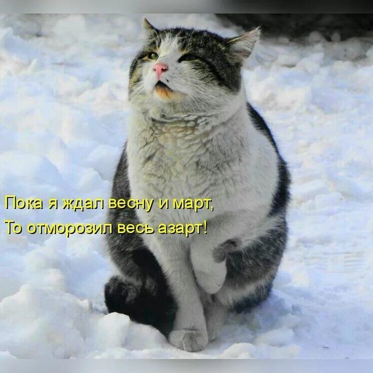 Пока я ждал весну и март, То отморозил весь азарт!