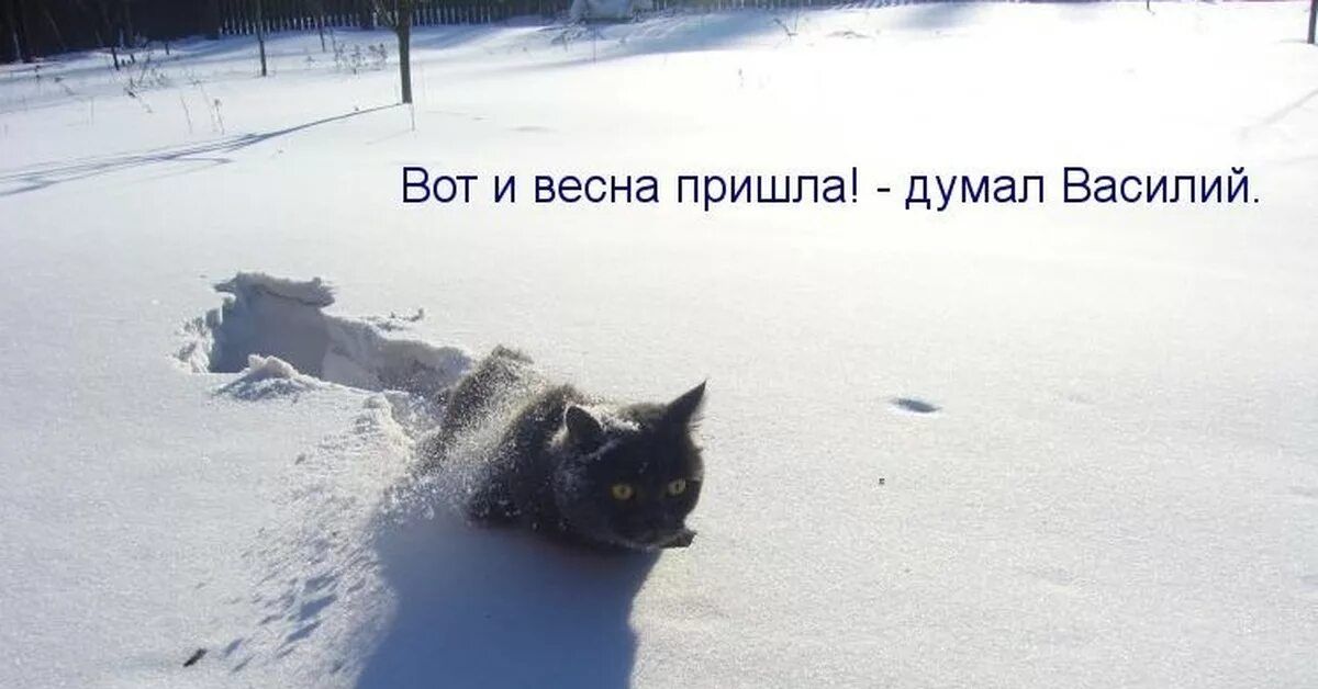 Вот и весна пришла! - думал Василий.