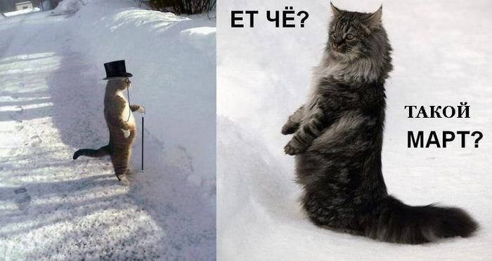 ЕТ ЧЁ? ТАКОЙ МАРТ?