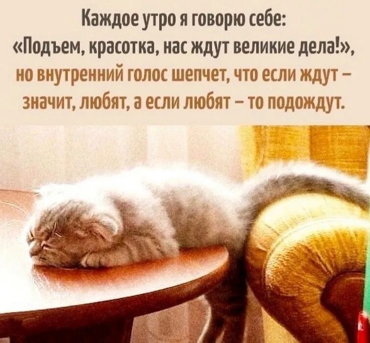 Каждое утро я говорю себе: «Подъем, красотка, нас ждут великие дела!», но внутренний голос шепчет, что если ждут – значит, любят, а если любят – то подождут.