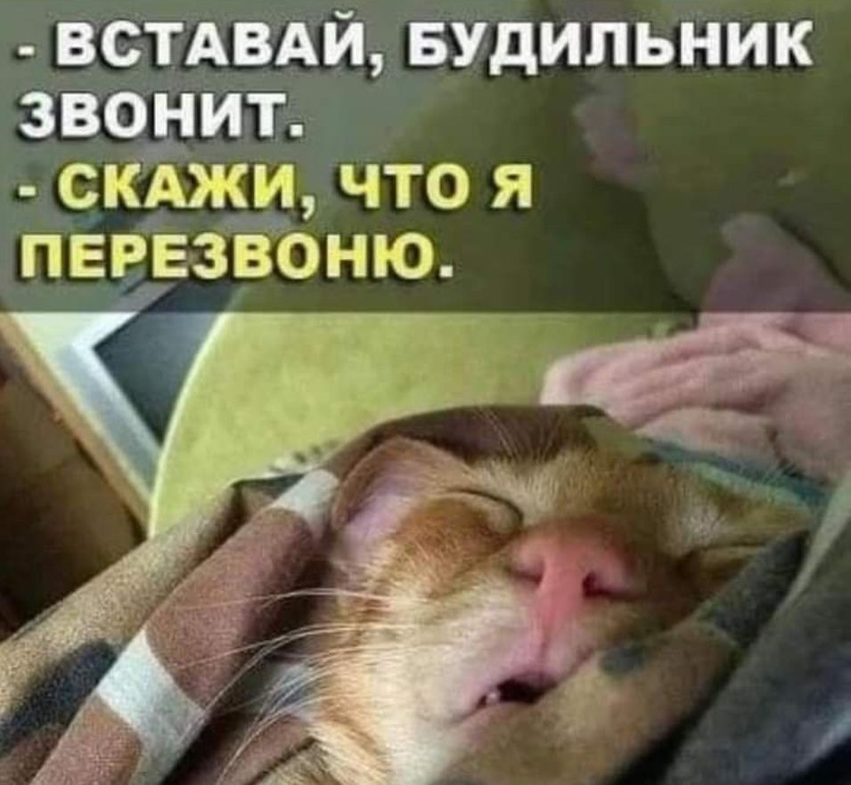 - ВСТАВАЙ, БУДИЛЬНИК ЗВОНИТ. - СКАЖИ, ЧТО Я ПЕРЕЗВОНЮ.