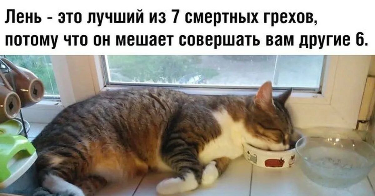 Лень - это лучший из 7 смертных грехов, потому что он мешает совершать вам другие 6.