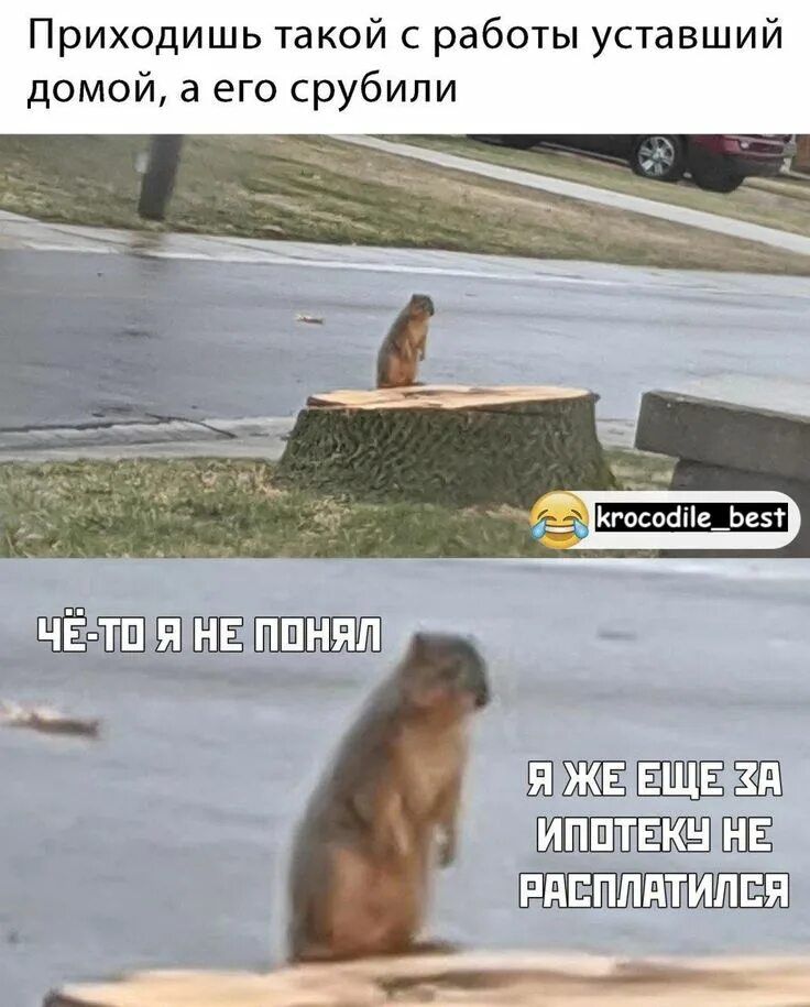 Приходишь такой с работы усталый домой, а его срубили
Чё-то я не понял
Я же еще за ипотеку не расплатился