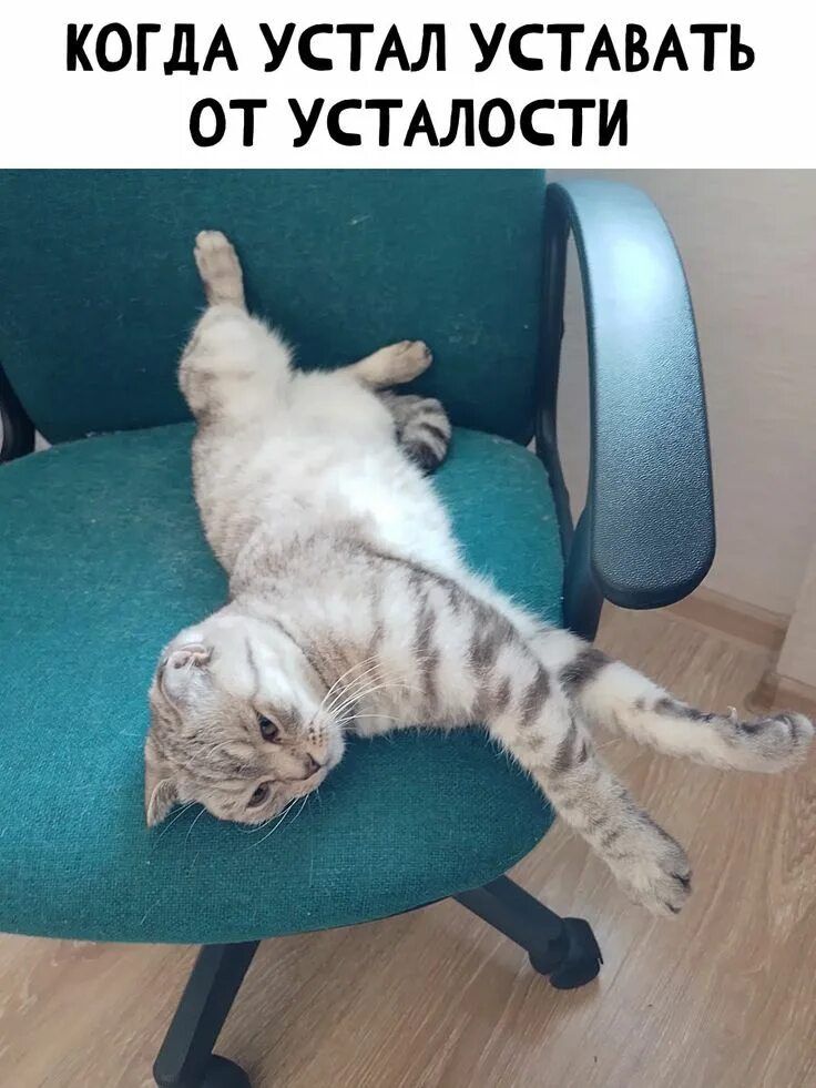 КОГДА УСТАЛ УСТАВАТЬ ОТ УСТАЛОСТИ