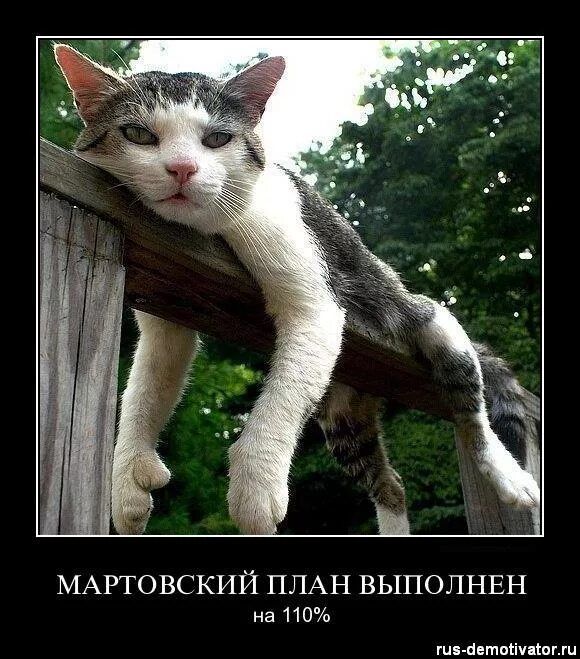 МАРТОВСКИЙ ПЛАН ВЫПОЛНЕН на 110%