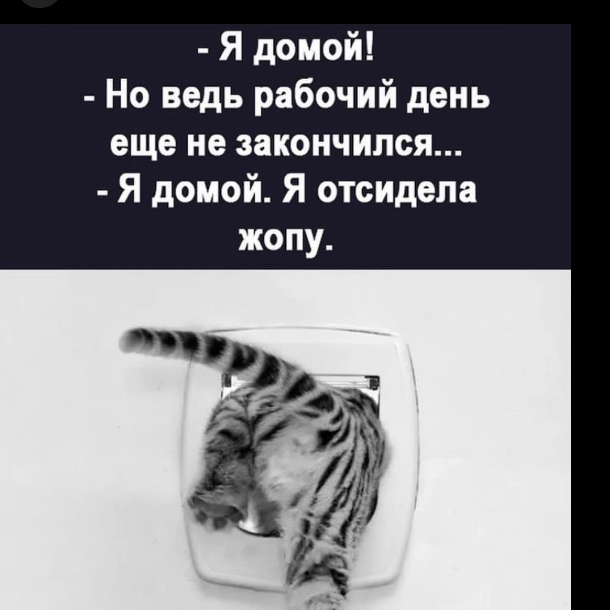 Я домой! Но ведь рабочий день еще не закончился... Я домой. Я отсидела жопу.