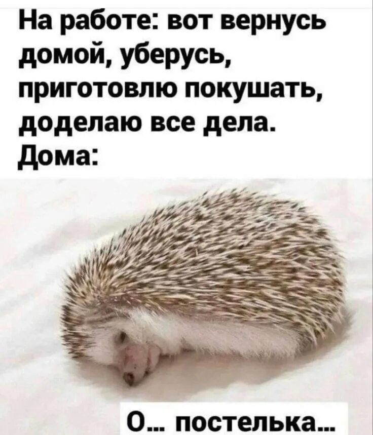 На работе: вот вернусь домой, уберусь, приготовлю покушать, доделаю все дела. Дома: О... постелька...