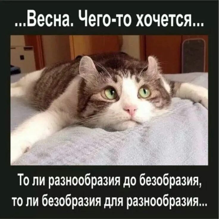 ...Весна. Чего-то хочется...
То ли разнообразия до безобразия, то ли безобразия для разнообразия...