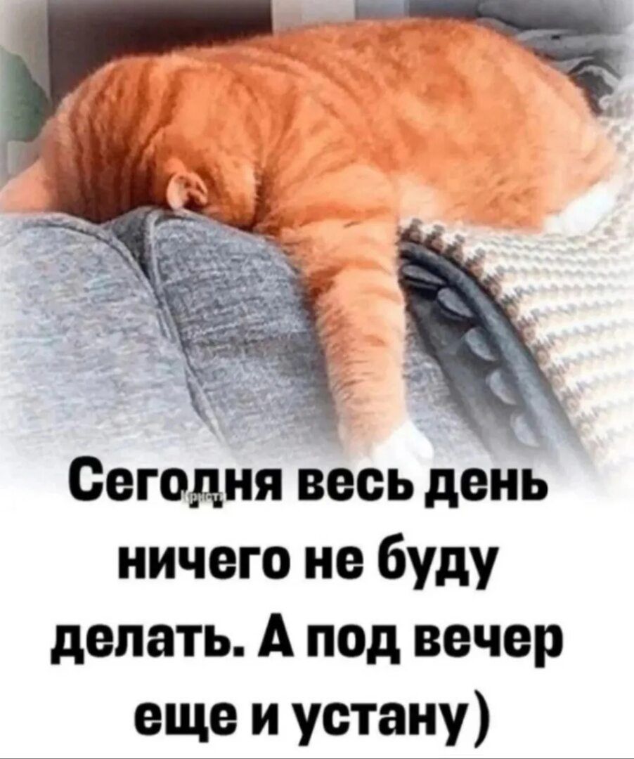 Сегодня весь день ничего не буду делать. А под вечер еще и устану)