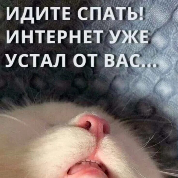 ИДИТЕ СПАТЬ! ИНТЕРНЕТ УЖЕ УСТАЛ ОТ ВАС...