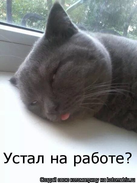 Устал на работе?