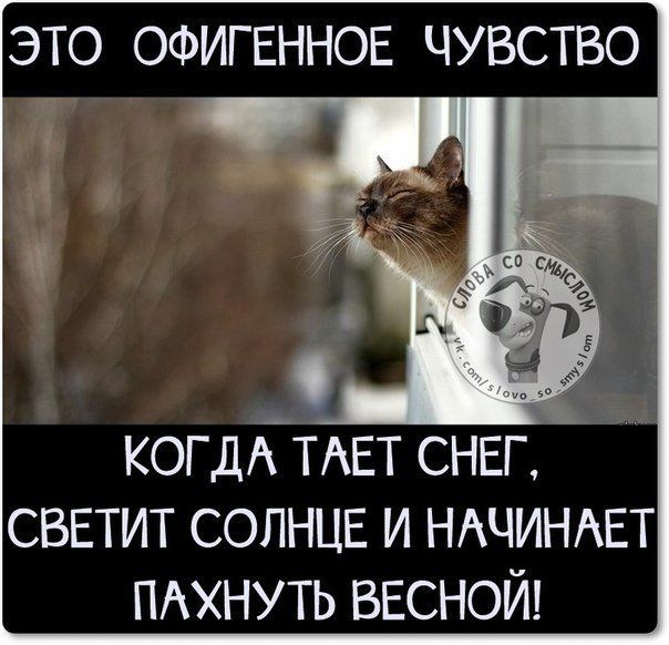 ЭТО ОФИГЕННОЕ ЧУВСТВО
КОГДА ТАЕТ СНЕГ, СВЕТИТ СОЛНЦЕ И НАЧИНАЕТ ПОХНУТЬ ВЕСНОЙ!