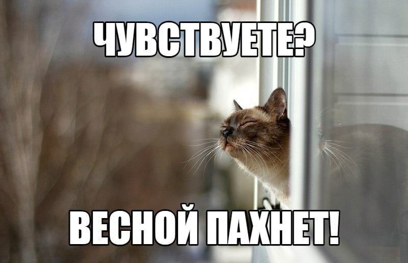 ЧУВСТВУЕТЕ? ВЕСНОЙ ПАХНЕТ!