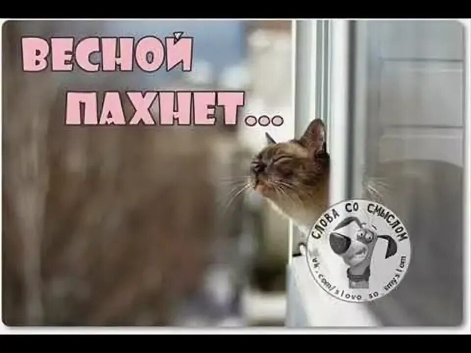 Весной пахнет...