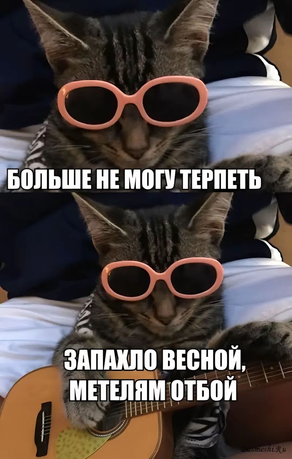 БОЛЬШЕ НЕ МОГУ ТЕРПЕТЬ ЗАПАХЛО ВЕСНОЙ, МЕТЕЛЯМ ОТБОЙ