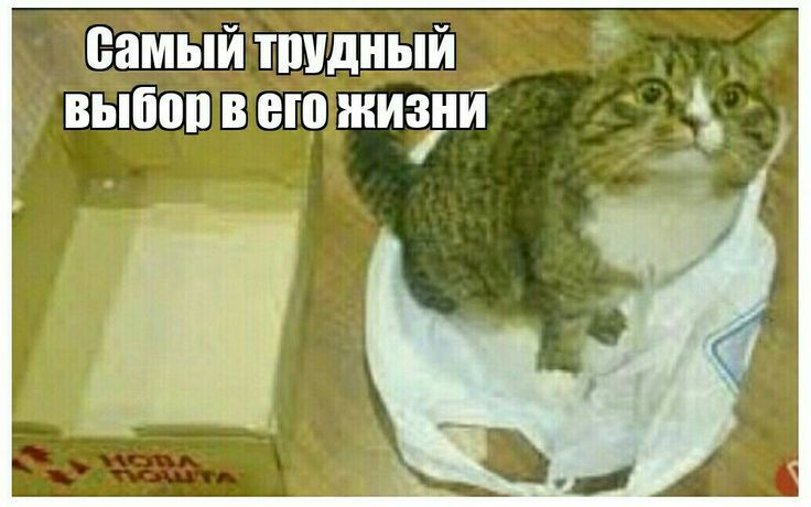 Самый трудный выбор в его жизни