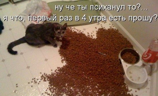 ну че ты психанул то?... я что, первый раз в 4 утра есть прошу?