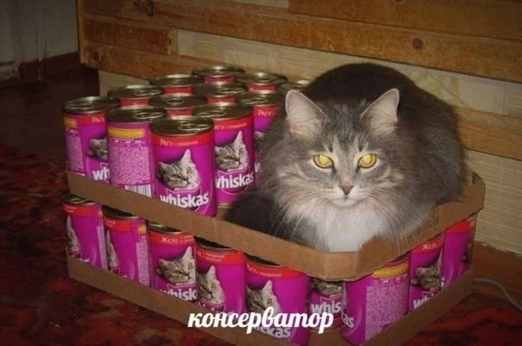 консерватор