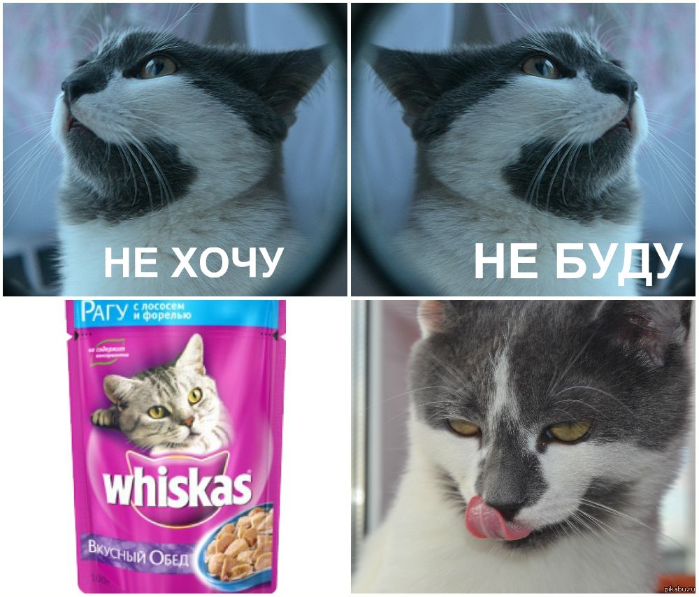 НЕ ХОЧУ
НЕ БУДУ