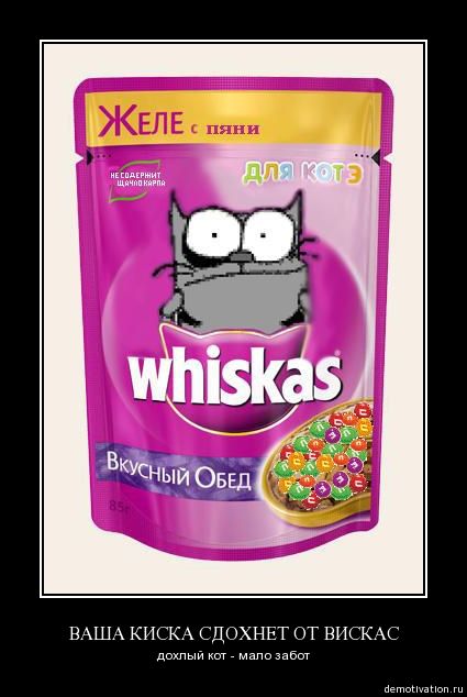 Whiskas Вкусный Обед Для котэ. Желе для котэ. ВАША КИСКА СДОХНЕТ ОТ ВИСКАС