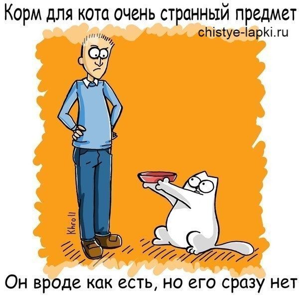 Корм для кота очень странный предмет Он вроде как есть, но его сразу нет