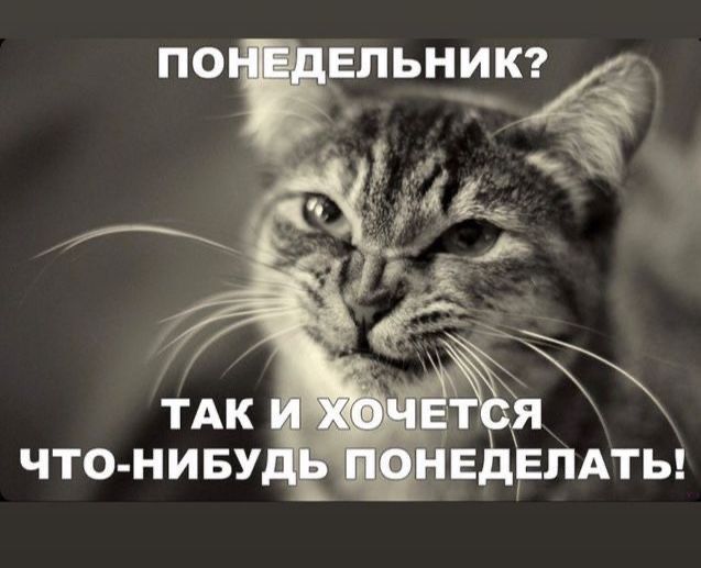 ПОНЕДЕЛЬНИК? ТАК И ХОЧЕТСЯ ЧТО-НИБУДЬ ПОНЕДЕЛАТЬ!