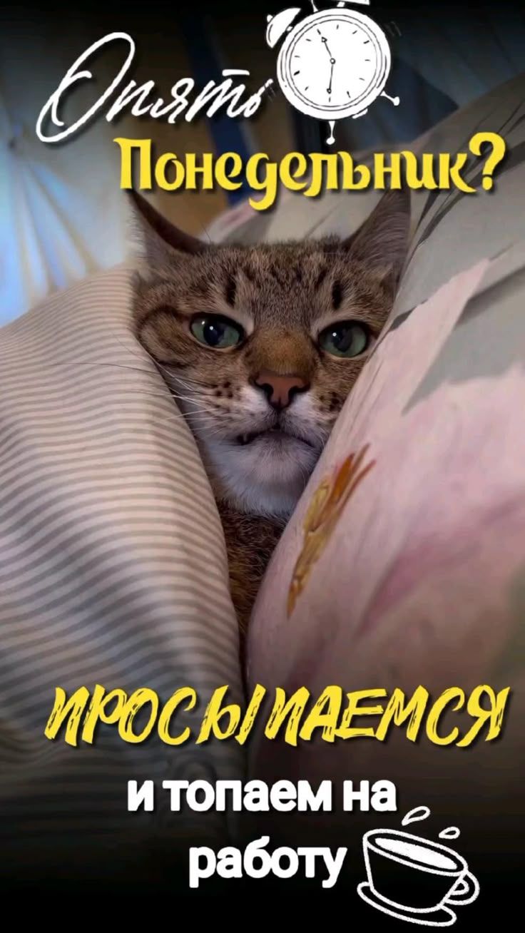 Опять Понедельник? просыпаемся и топаем на работу