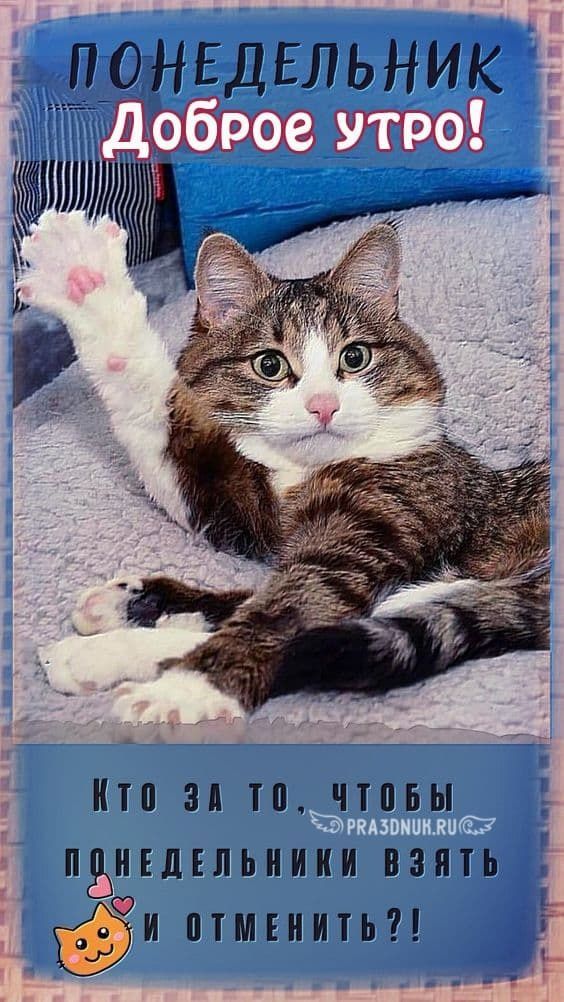 ПОНЕДЕЛЬНИК Доброе утро! Кто за то, чтобы понедельники взять и отменить?!