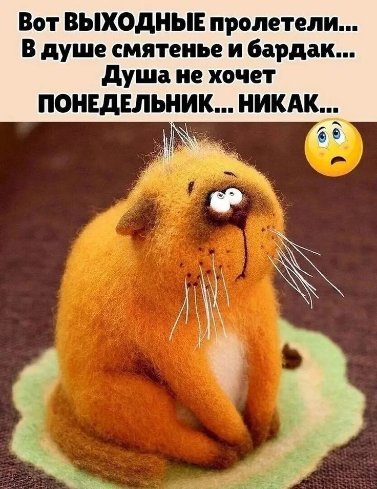 Вот ВЫХОДНЫЕ пролетели...
В душе смятенье и бардак...
Душа не хочет понедельник... Никак...