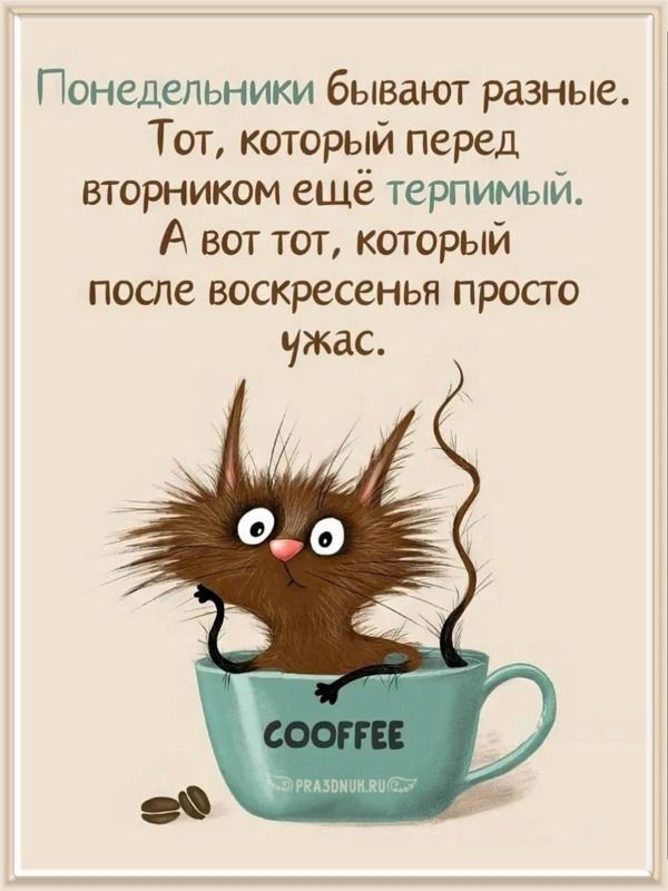 Понедельники бывают разные. Тот, который перед вторником ещё терпимый. А вот тот, который после воскресенья просто ужас.