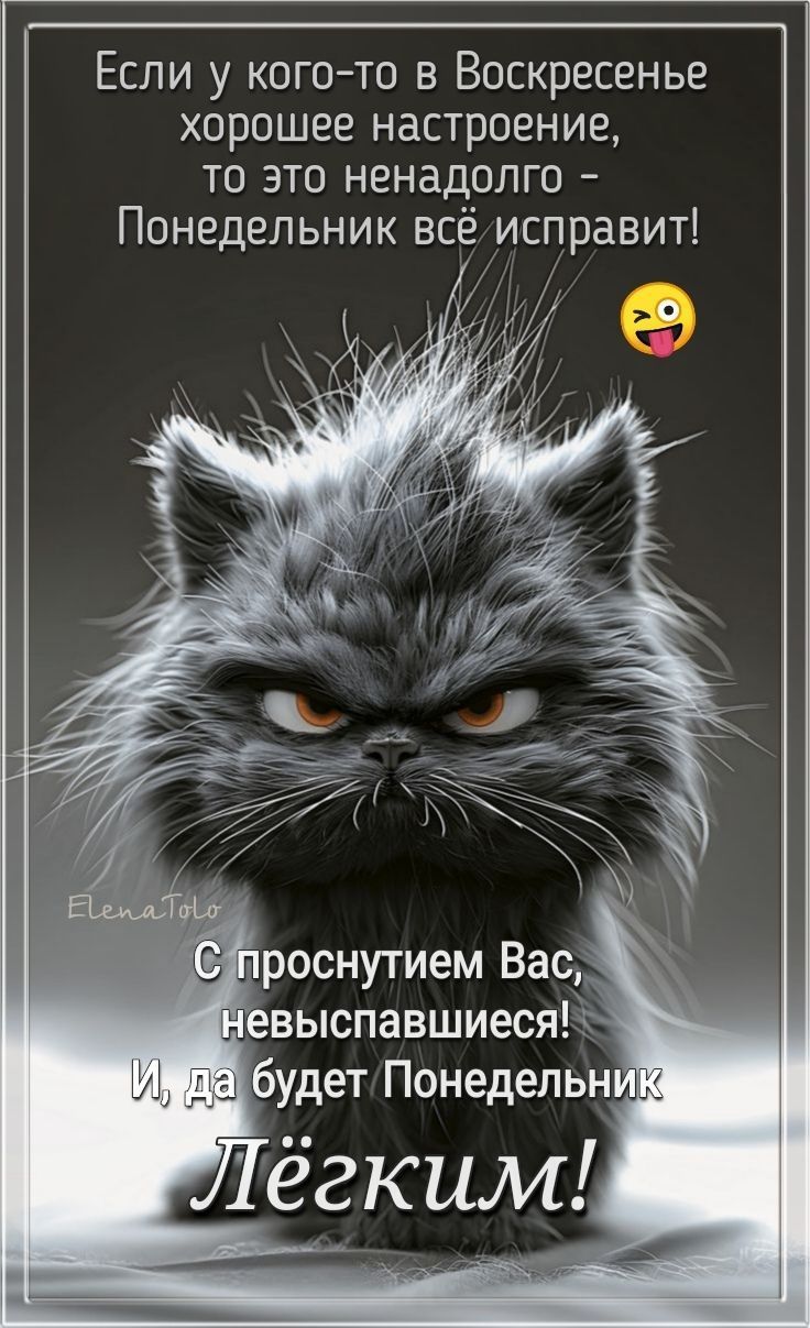 Если у кого-то в Воскресенье хорошее настроение, то это ненадолго - Понедельник всё исправит!\nС проснутем Вас, невыспавшиеся!\nИ, да будет Понедельник\nЛёгким!