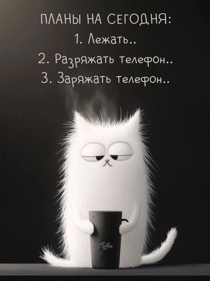 ПЛАНЫ НА СЕГОДНЯ:\n1. Лежать..\n2. Разряжать Телефон..\n3. Заряжать Телефон..
