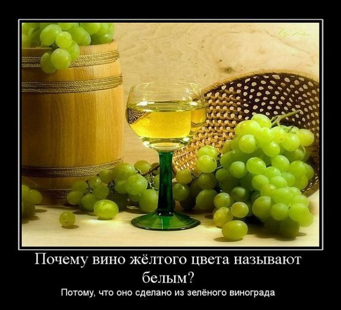 Почему вино жёлтого цвета называют белым?\nПотому, что оно сделано из зелёного винограда