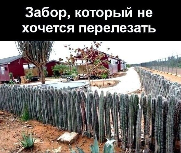 Забор, который не хочется перелезать
