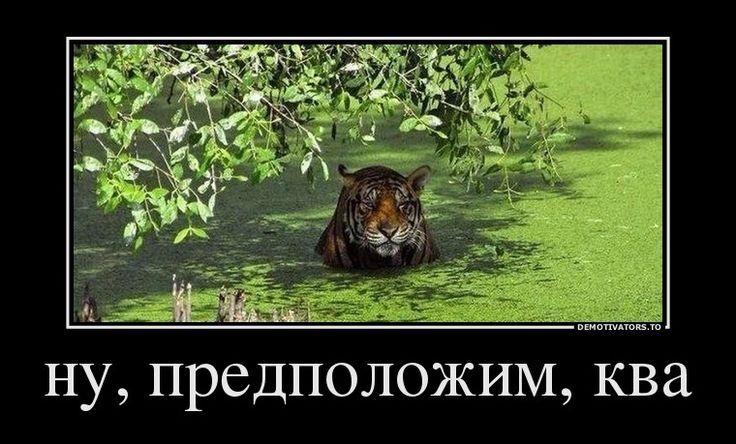 ну, предположим, ква