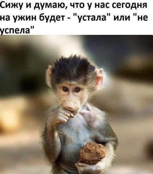 Сижу и думаю, что у нас сегодня на ужин будет - 