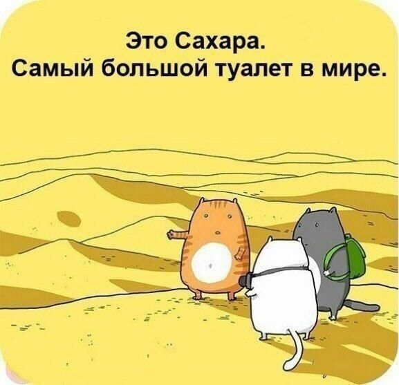 Это Сахара. Самый большой туалет в мире.