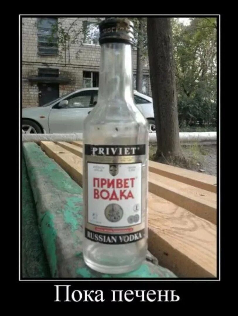 PRIVIET ПРИВЕТ ВОДКА RUSSIAN VODKA Пока печень