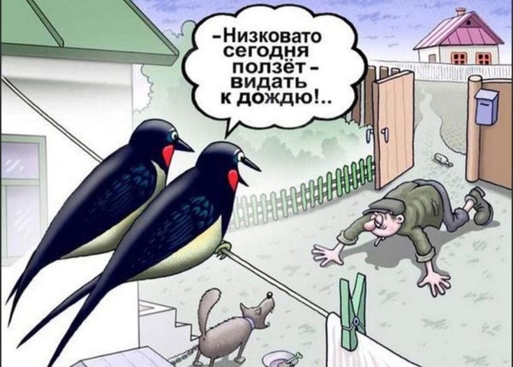 Низковато сегодня ползёт - видать к дождю!..