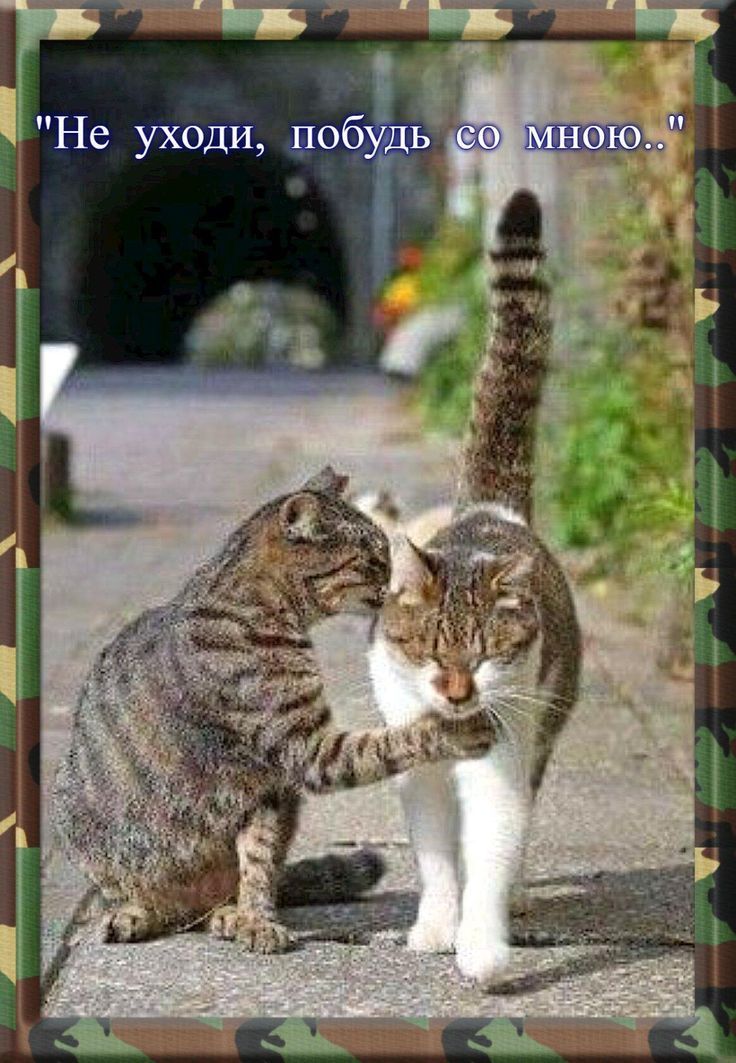 Не уходи, побудь со мною..