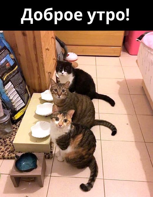 Доброе утро!