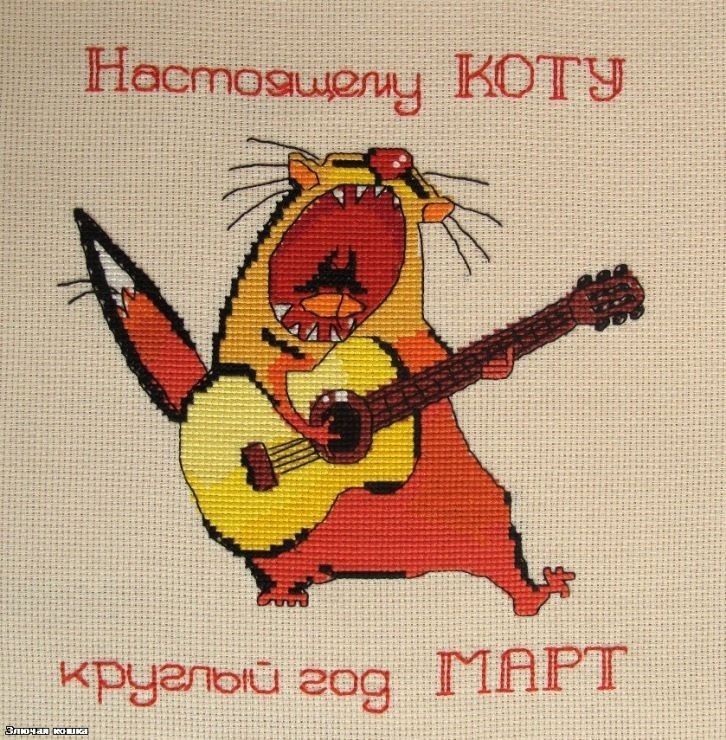 Настоящему КОТУ круглый год МАРТ Злючая кошка