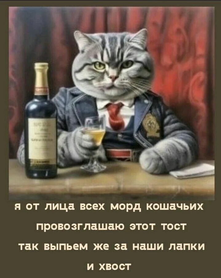я от лица всех морд кошачьих провозглашаю этот тост так выпьем же за наши лапки и хвост