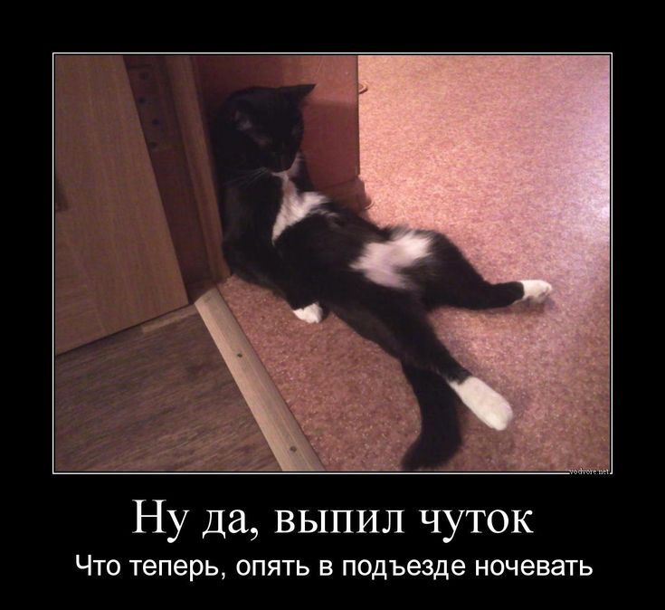 Ну да, выпил чуток Что теперь, опять в подъезде ночевать