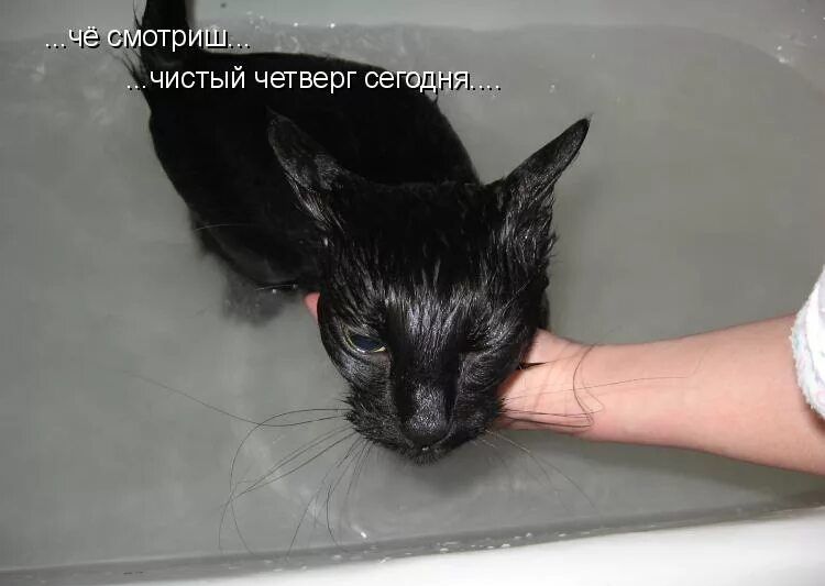 чё смотриш... чистый четверг сегодня....